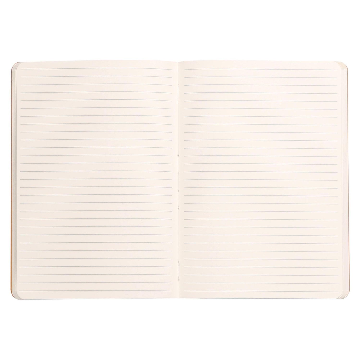 Agenda A5 160 pagini Rhodia verde salvie, dictando, coperta flexibila Agenda Rhodia