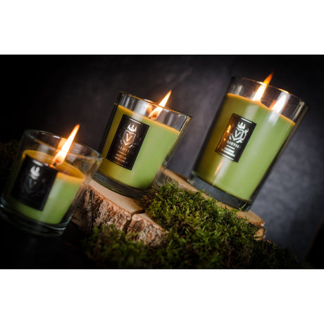 Lumanare parfumata Vellutier, 225 g, Ancient Oakwoods Lumanare parfumata Vellutier