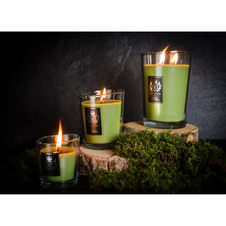 Lumanare parfumata Vellutier, 225 g, Ancient Oakwoods Lumanare parfumata Vellutier