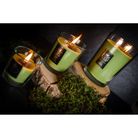 Lumanare parfumata Vellutier, 225 g, Ancient Oakwoods Lumanare parfumata Vellutier