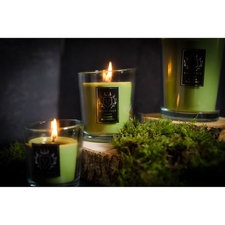 Lumanare parfumata Vellutier, 225 g, Ancient Oakwoods Lumanare parfumata Vellutier