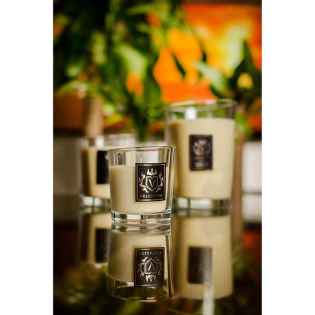 Lumanare parfumata Vellutier, 225 g, Madagascar Adventure Lumanare parfumata Vellutier