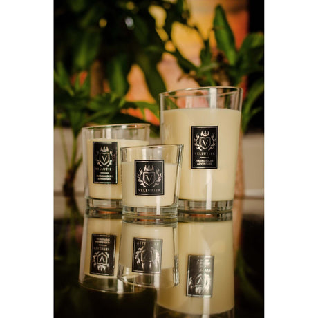 Lumanare parfumata Vellutier, 225 g, Madagascar Adventure Lumanare parfumata Vellutier