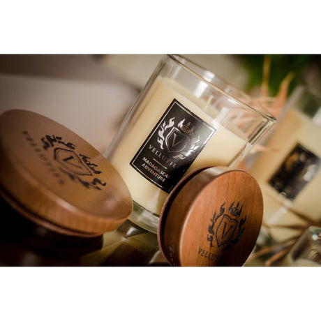 Lumanare parfumata Vellutier, 225 g, Madagascar Adventure Lumanare parfumata Vellutier