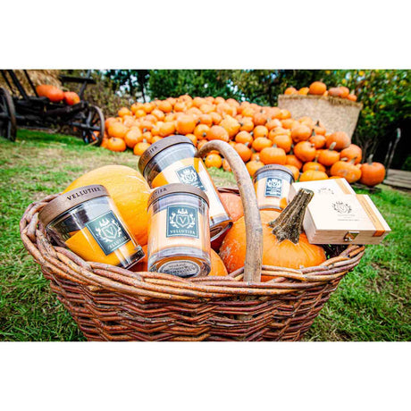 Lumanare parfumata Vellutier, 90 g, Spiced Pumpkin Soufflé Lumanare parfumata Vellutier 