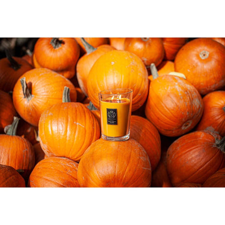 Lumanare parfumata Vellutier, 90 g, Spiced Pumpkin Soufflé Lumanare parfumata Vellutier 