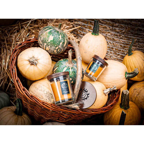 Lumanare parfumata Vellutier, 90 g, Spiced Pumpkin Soufflé Lumanare parfumata Vellutier 