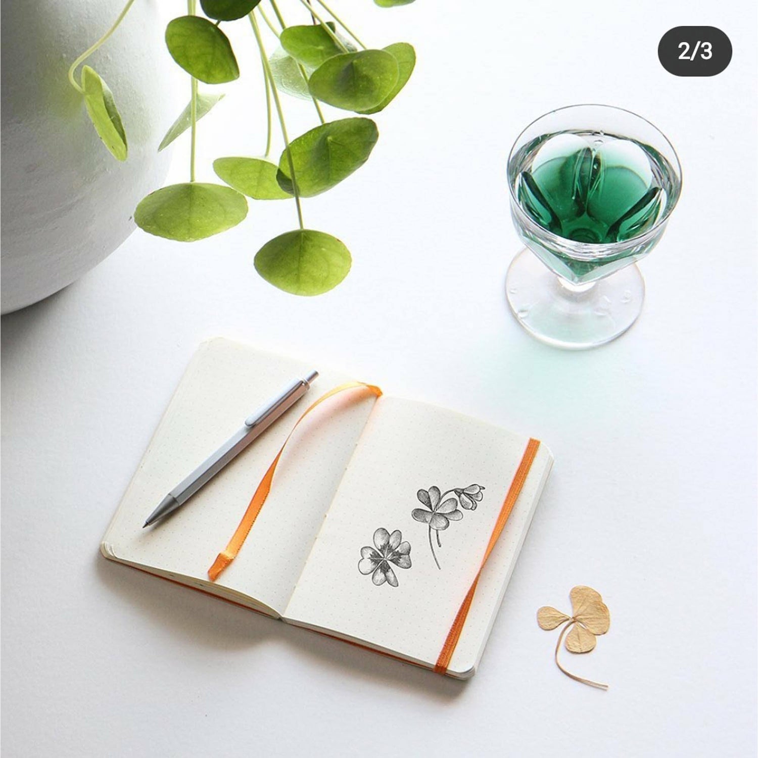 Agenda A5 240 pagini Rhodia GOALBOOK verde lime, punctat, coperta flexibila Agenda Rhodia 