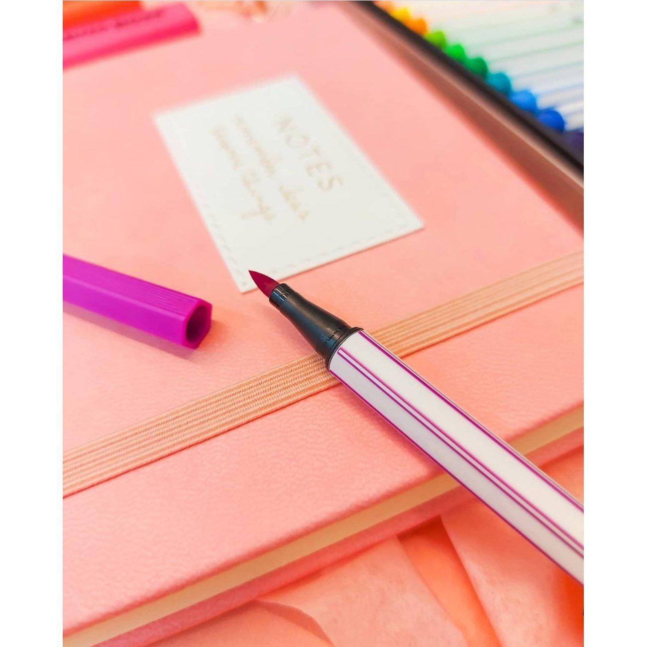 Carioca STABILO Brush set 24 culori Carioca Stabilo 