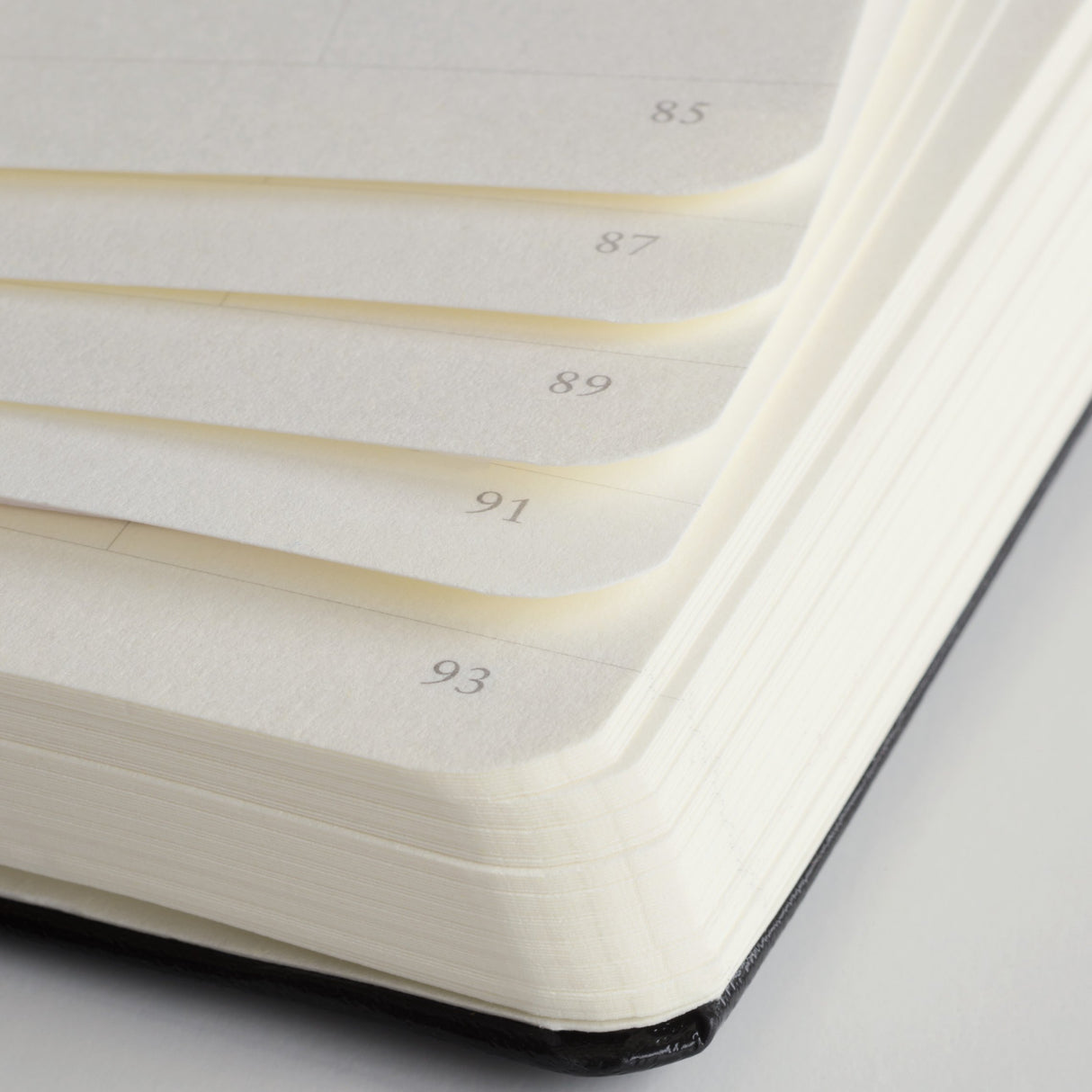 Agenda Bujo Punctata A5 "Write don't talk" & Box - Roz Pudrat, 251 pagini BUJO, A5, punctata, hardcover Leuchtturm 1917 